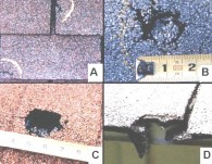4 x 4 image of damaged roof examples