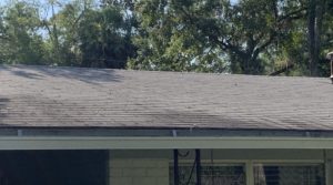 Algae Stains - Picture of a home's roof with black streaks. 